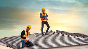 Best Roof Moss and Algae Removal  in Flowing Wells, AZ